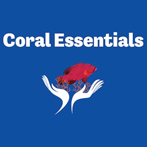 Coral Essentials