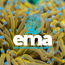 EMA Aquariums Ltd